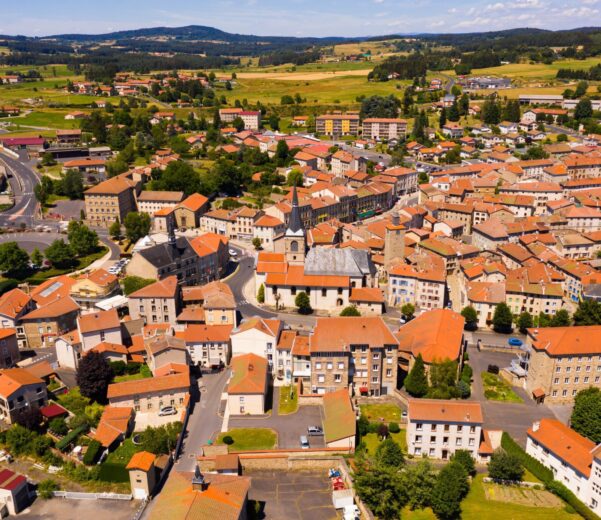 Le Marché Immobilier Local en France